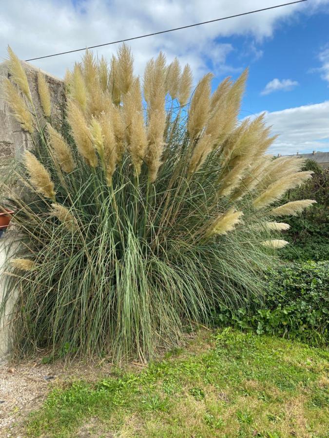 Gite Du Bois Pennier, Au Calme , A 15 Km Des Plages Du Debarquement Picauville Exteriör bild